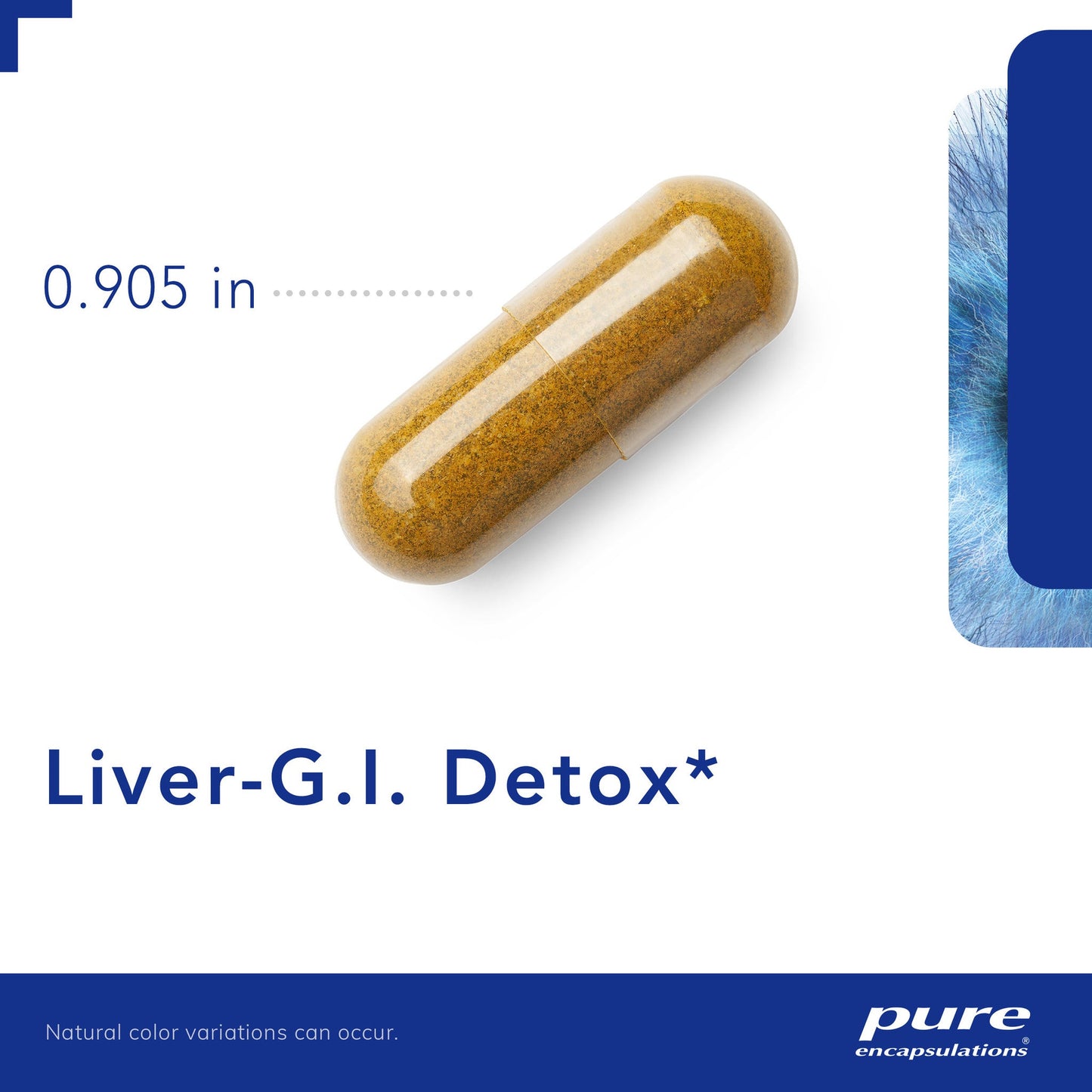 Liver G.I. Detox